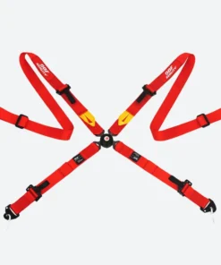 Alternative view of 4-Point Harness (Seat Belts)