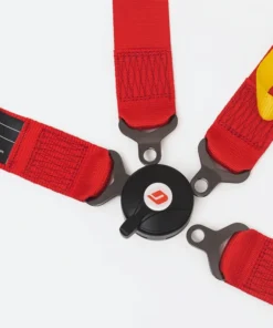 4-Point Harness (Seat Belts)