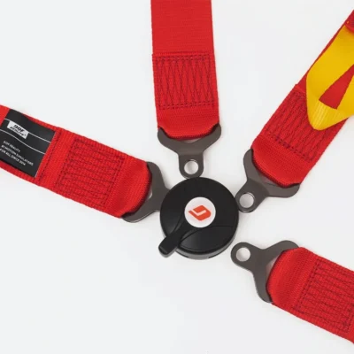 4-Point Harness (Seat Belts)
